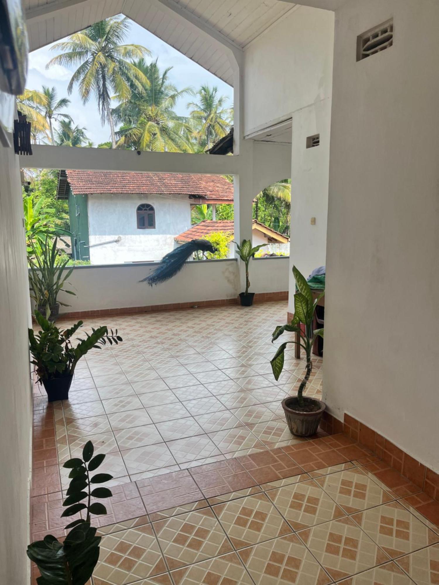 Sunny'S Garden Hotel Ambalangoda  Esterno foto